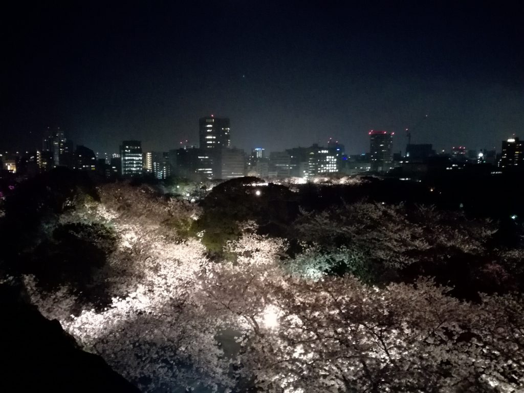 舞鶴公園さくらまつり 天守台からのさくらライトアップと夜景