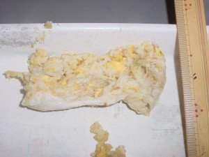 DSC05283