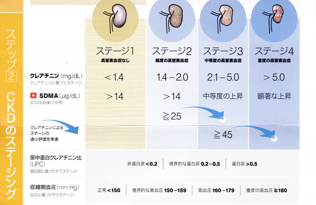 犬CKDステージング