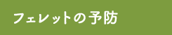 フェレットの予防