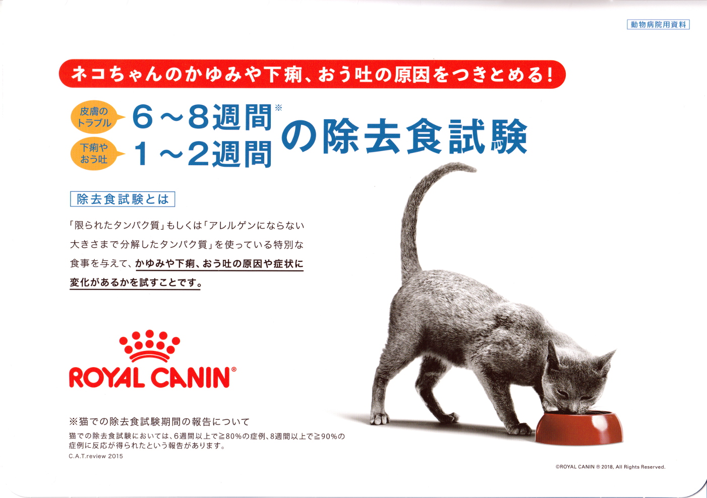 猫の除去食試験　アミノペプチドフォーミュラ