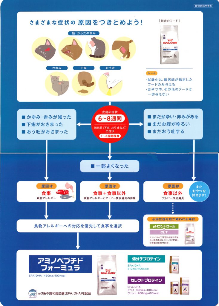 猫の除去食試験の流れ