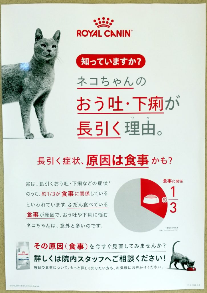 猫の嘔吐下痢の理由　食物アレルギー