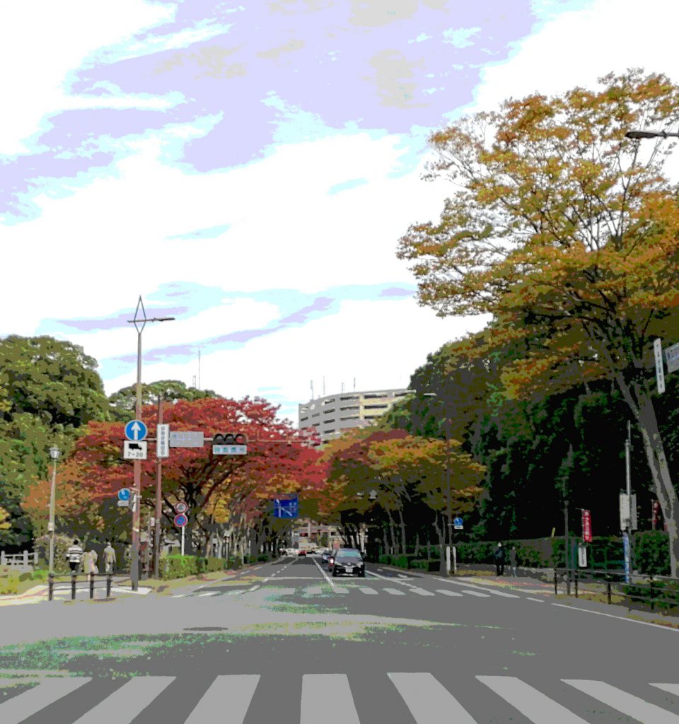 けやき通り入口　護国神社　紅葉